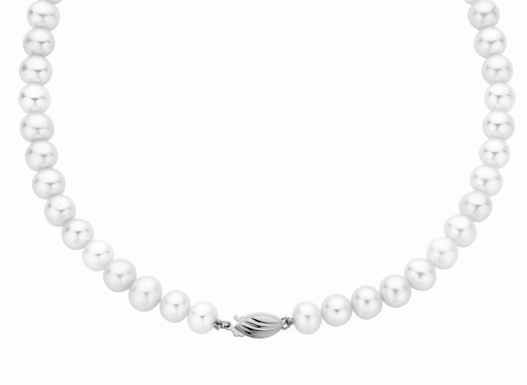 Holdsworth Single Strand Pearl Necklace with Sterling Silver Clasp.